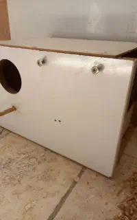 لونه پرنده عروس