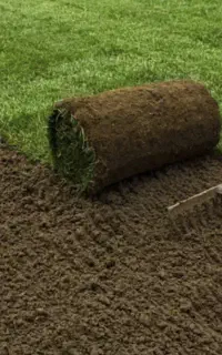 چمن رول طبیعی خارجی