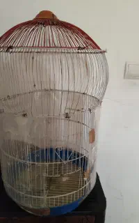 قفس پرنده