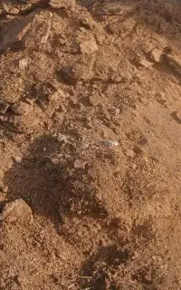 کود گوسفندی خوب درجه یک
