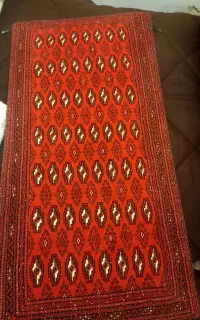 جفت  سالم و وزیبا