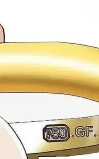 گردنبند طلا