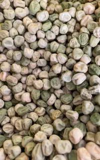 نخود فرنگی