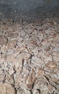 نان خشک