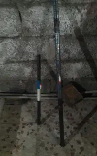 لانس کپوری  وحشی