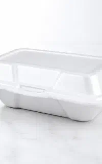 ظرف غذا فومی