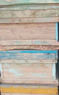 فروش ۲۰ عدد جعبه کندو زنبور عسل