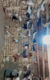 رنگه