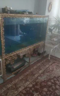 آکواریوم بزرگ
