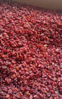 زرشک پفکی اعلا زیرقیمت