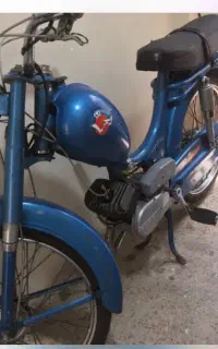 موتور رکس