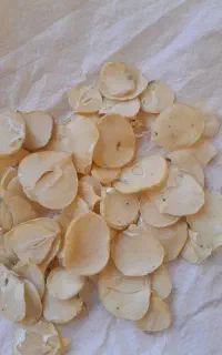 موسیرخشک کوهی موجوداست