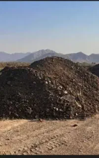 کود حیوانی
