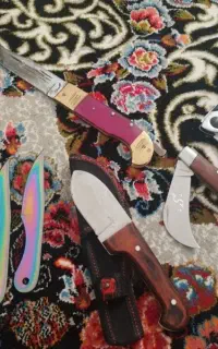 دونه ایی ۵۰۰
