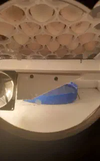 دستگاه جوجه تمام اتومات