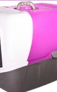 ظرف خاک گربه