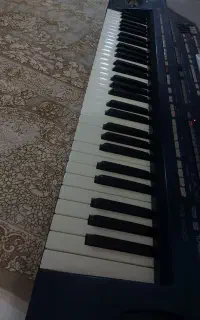 اورگ korg pa800 رم 256 pa 800