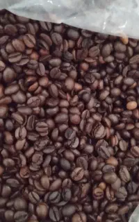 فروش عمده و جزئی قهوه با کیفیت بالا