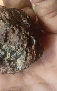 شهاب سنگ فروشی شهرستان ریگان
