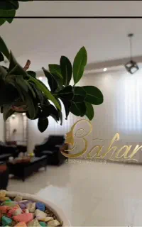 جشنواره بهاره ریمو تتو با دستگاه پیکوشور2026