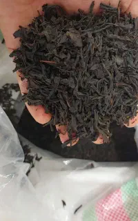 چای و چوب چای