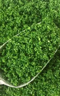 سبزی مارکت قصرسبز