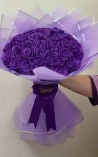 گل جاودانه ربانی