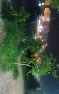 سویت سویت سویت