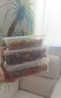 ظروف نگهداری و بسته بندی