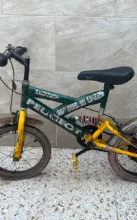 دوچرخه