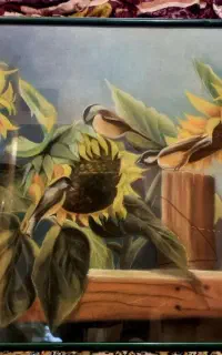 تابلو نقاشی