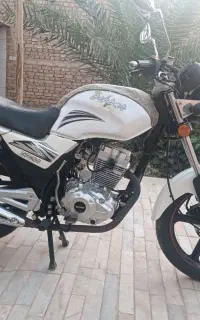 موتور