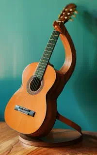 تدریس خصوصی گیتار