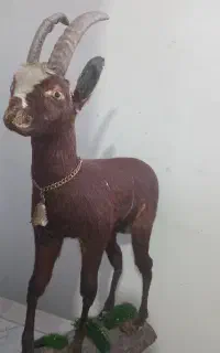 مجسمه حیوان طبیعی