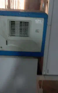کولرابی ۲۸۰۰لورچ سالم درحدنو