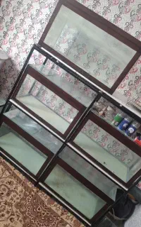 مجموعه آکواریوم فروشی