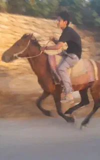 اسب دره شور