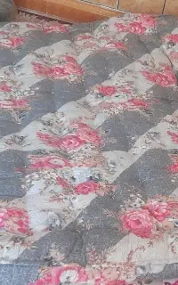 تشک نو نو نو