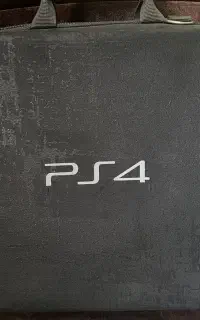 کیف کنسول PS4