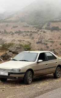 پژو 405 بژ متالیک