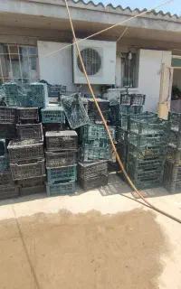سبد پلاستیکی میوه
