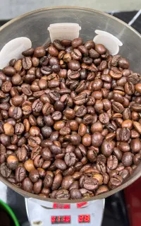 دانه قهوه تازه‌رست و باکیفیت به شرط تست حضوری