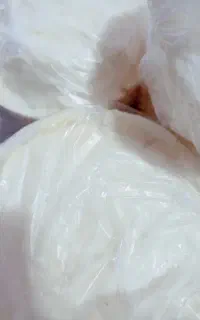 کره محلی گاو