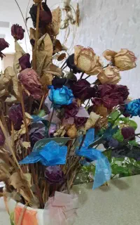گل رز خشک شده