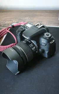 canon 77D در حد