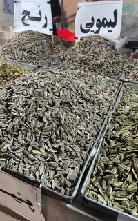 تخمه درجه ۱