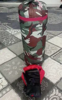 کیسه بوکس ودستکش
