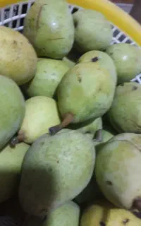 فروش گلابی محلی
