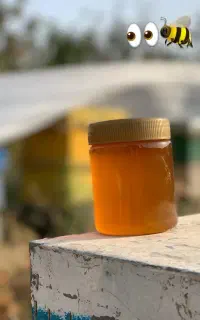 عسل خارشتر