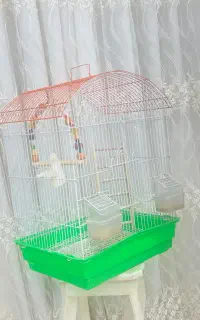 قفس پرنده باپله‌وتاپ ودوعددظرف غذا داره